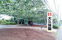 店舗イメージ