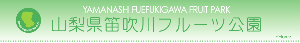 im_title-fp.gif (4582 �o�C�g)