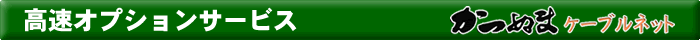 高速オプションサービス