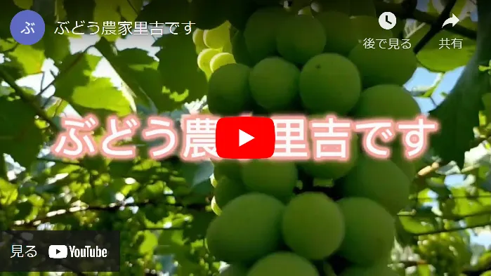 Introduction_Youtube-movie