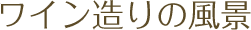 C̕i