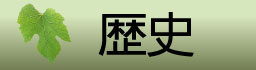 歴史