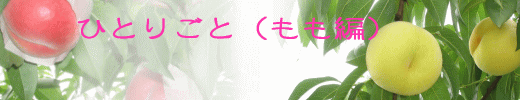 ЂƂ育Ɓiҁj