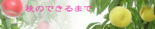 ̂ł܂