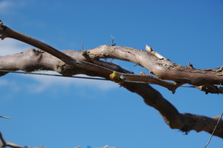 �t���[��