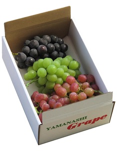 送りぶどう 2kg箱