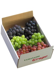 送りぶどう 3kg箱