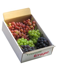 送りぶどう 4kg箱