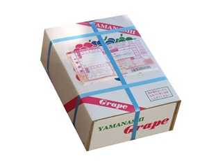 PPバンドが掛り梱包が終わった状態